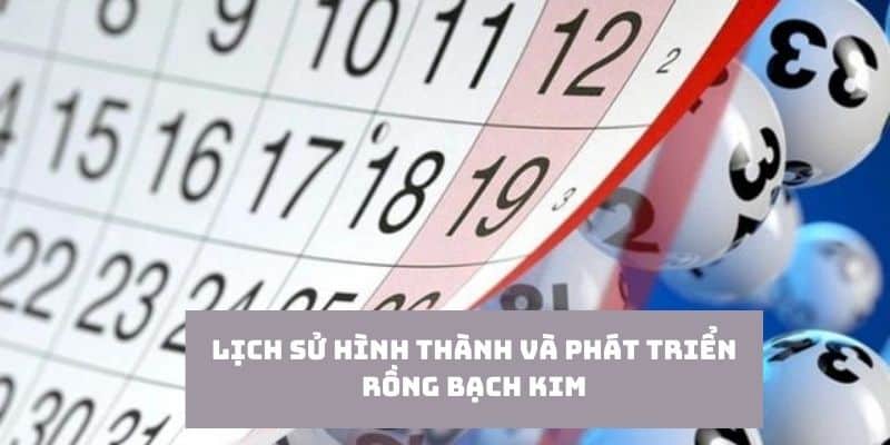 Lịch sử hình thành và phát triển của địa chỉ Rồng Bạch Kim đình đám