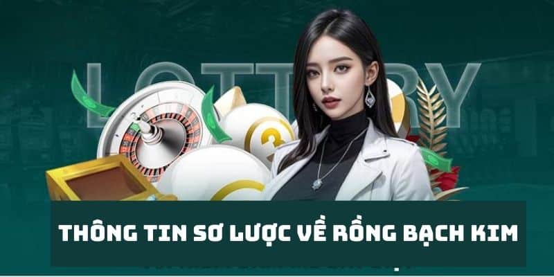 Thông tin tổng quan về Rồng Bạch Kim mà anh em cần phải nắm được